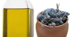 Natural Nagarmotha Essential Oil