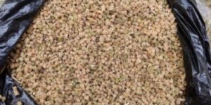 Spinach Seeds