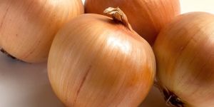 Onions