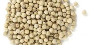 White Pepper