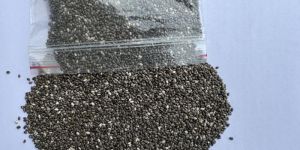 Chia Seed