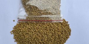 Fenugreek