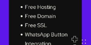 Ecommerce Website Development