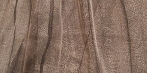 Blended Greige Fabric