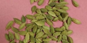 Green Cardamom