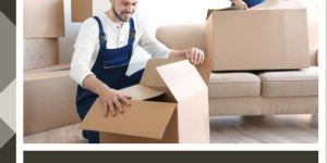 Packers Movers Services