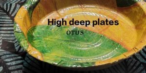 Plates for Snacks and Chaat