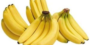 Fresh Yellow Banana