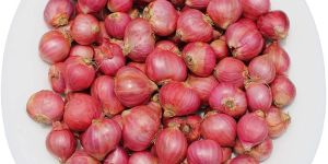 Small Red Onion