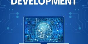 Web Development Services