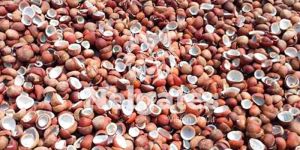 Nelgates Coconut Copra