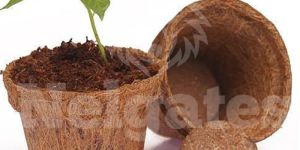 Nelgates Coir Pots