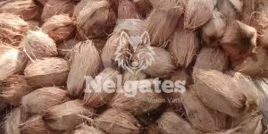 Nelgates Full Husk Coconut