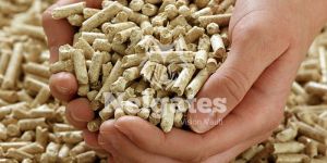 Nelgates Horse Bedding Pellet