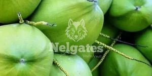 Nelgates Tender Coconut
