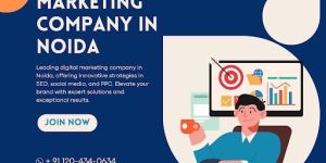 Best Digital Marketing Company in Noida