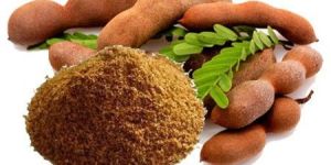 Dehydrated Tamarind Powder
