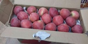 Kashmiri a Grade Fresh Apple