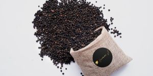 Black Pepper