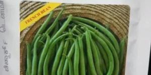 Amulya French Bean Seeds