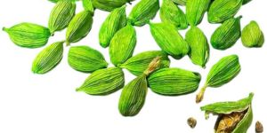Green Cardamom
