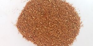 Forestry Plants Seeds