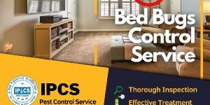 Bed Bugs Control Service