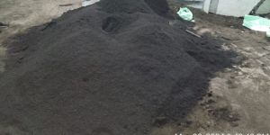 Vermi Compost