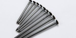 Stainless Steel Wire Nail