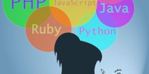 Web Development Services Dehradun