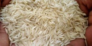 Basmati Rice