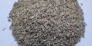 Cumin Seeds