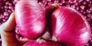 Red Onion