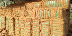 Coir Fibre Bales