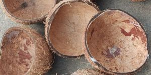 Dry Coconut Shell