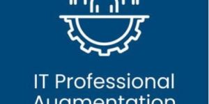 IT Staff Augmentation Service