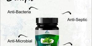 Tulsi Capsule