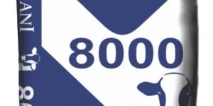 Rajani 8000 Cattle Feed