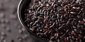 Black Rice