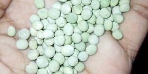 Dantewada Green Peas Seed