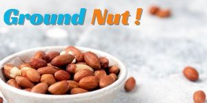 Groundnut