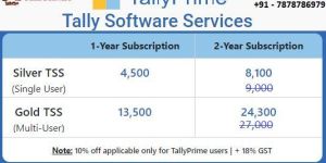 Tally Accounting Software