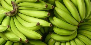 Green Banana
