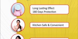 Cockroaches Pest Control