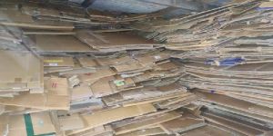 Cardboard Cartons