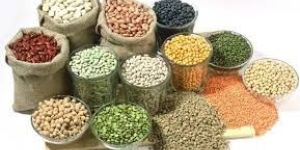 Food Grains