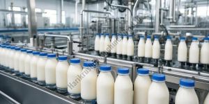 Dairy Turnkey Project Solutions