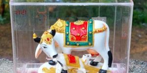 Beautiful Kamdhenu Cow Statue