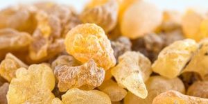 Boswellia Serrata