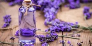 Lavender Aroma Oil